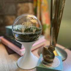 Terrariums - Presumed Innoscent