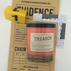 Treason - Presumed Innoscent