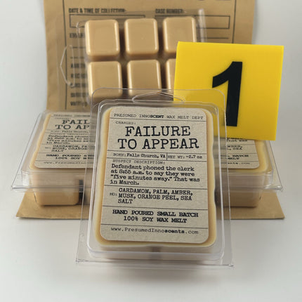 Failure to Appear 6pc Wax Melt - Presumed Innoscent