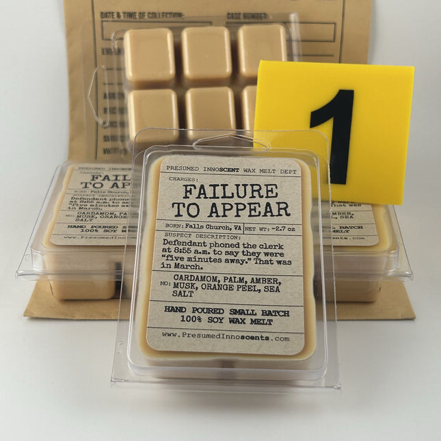 Failure to Appear 6pc Wax Melt - Presumed Innoscent