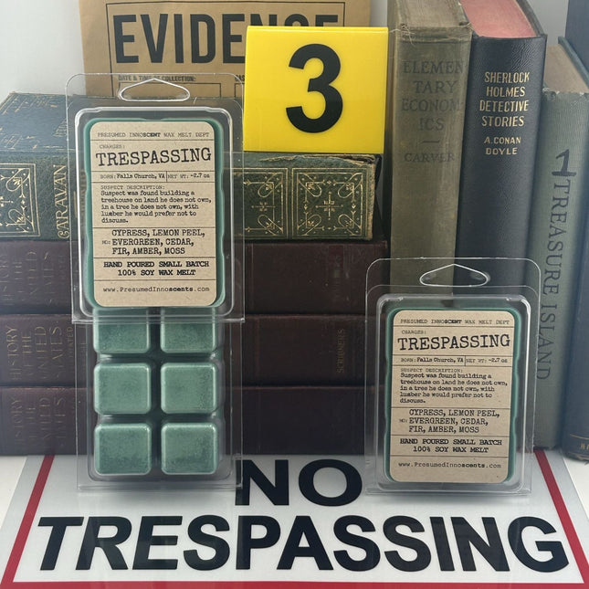 Trespassing 6pc Wax Melt - Presumed Innoscent