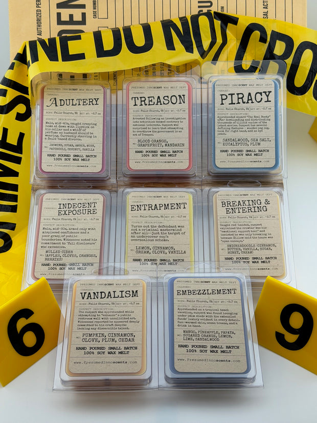 <h2><span style="text-decoration:underline">100% Soy Wax Melts</span></h2>