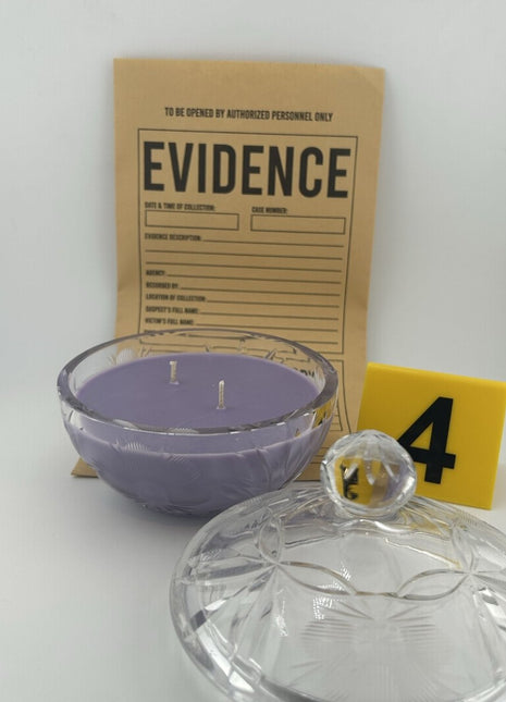 Disturbing the Peace Exhibit - Cut Glass Candy Dish - Presumed Innoscent