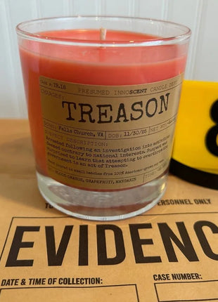 Treason Scented Candle Large | Old Fashioned Glass | 8.4 oz - Presumed Innoscent