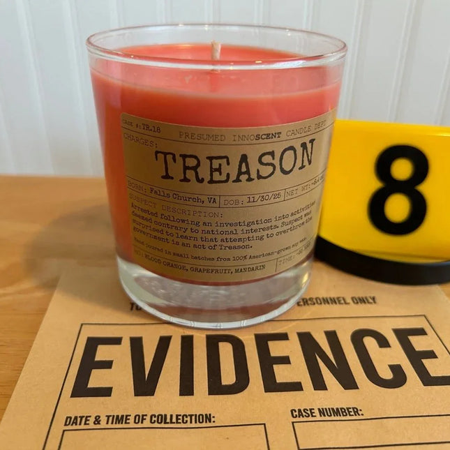Treason Scented Candle Large | Old Fashioned Glass | 8.4 oz - Presumed Innoscent