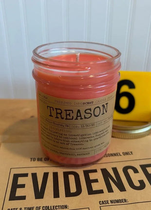 Treason Scented Candle Large | Old Fashioned Glass | 8.4 oz - Presumed Innoscent