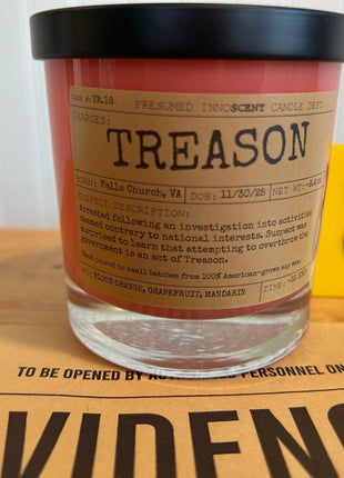 Treason Scented Candle Small | Squat Jelly Jar | 3 oz - Presumed Innoscent