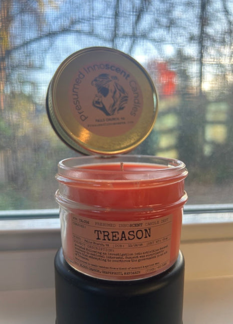 Treason Scented Candle Small | Squat Jelly Jar | 3 oz - Presumed Innoscent