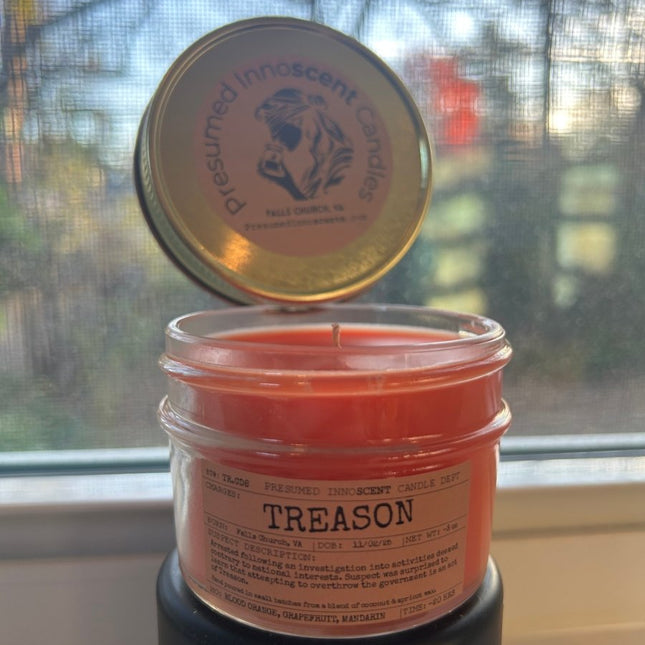 Treason Scented Candle Small | Squat Jelly Jar | 3 oz - Presumed Innoscent